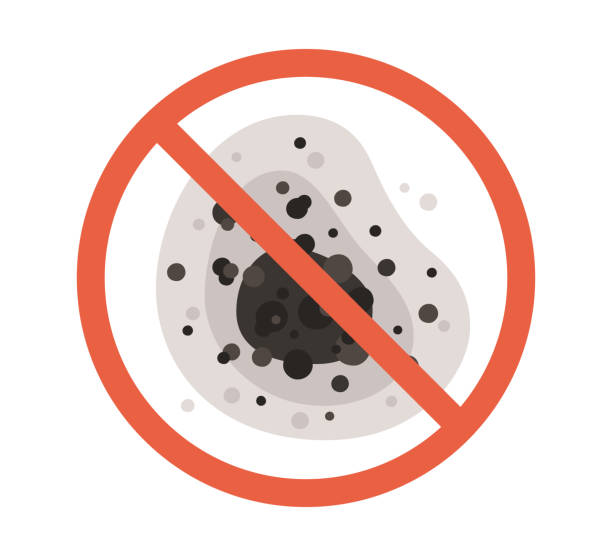 Best Mold-Related Health Consultation  in Palacios, TX